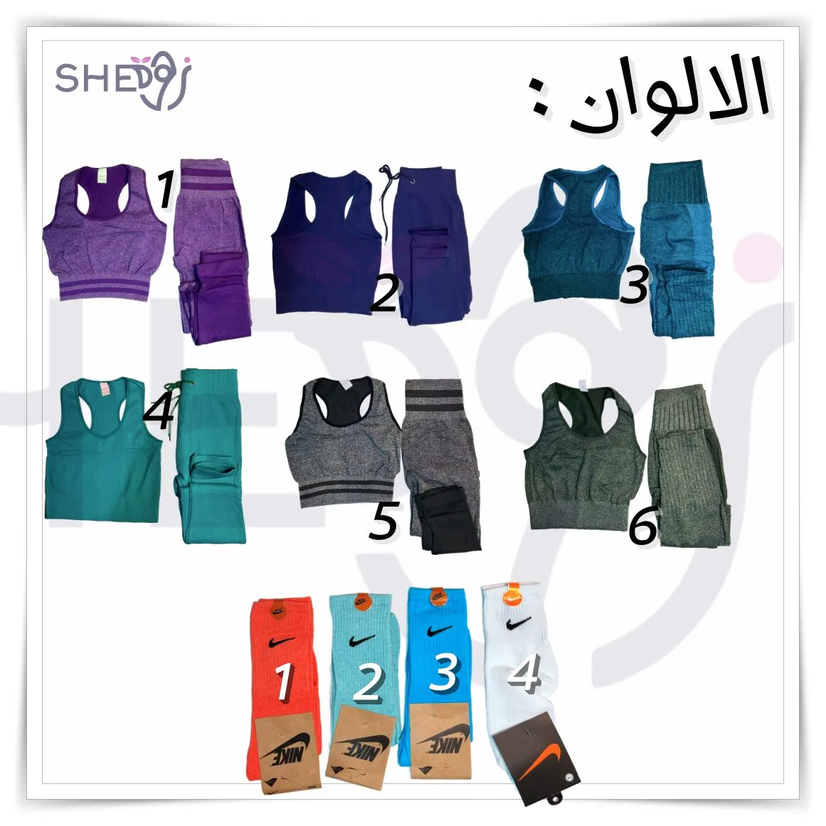 براسيار و فيزو